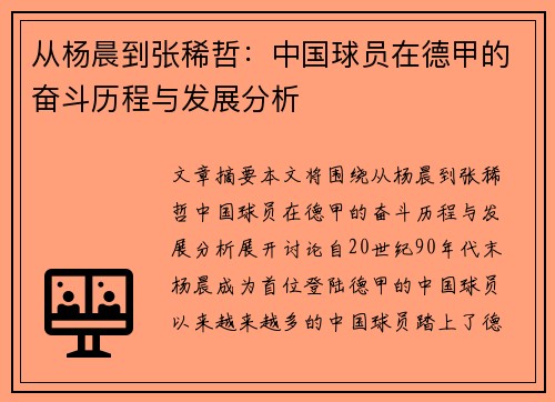 从杨晨到张稀哲：中国球员在德甲的奋斗历程与发展分析